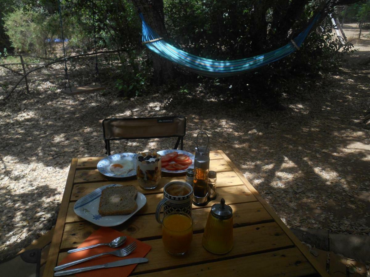 La Cabana Del Alcornoque Кордоба Екстериор снимка